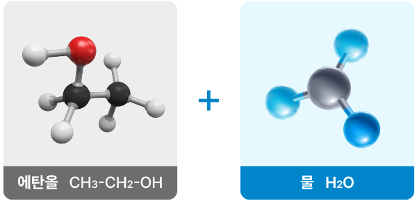 에탄올절제술